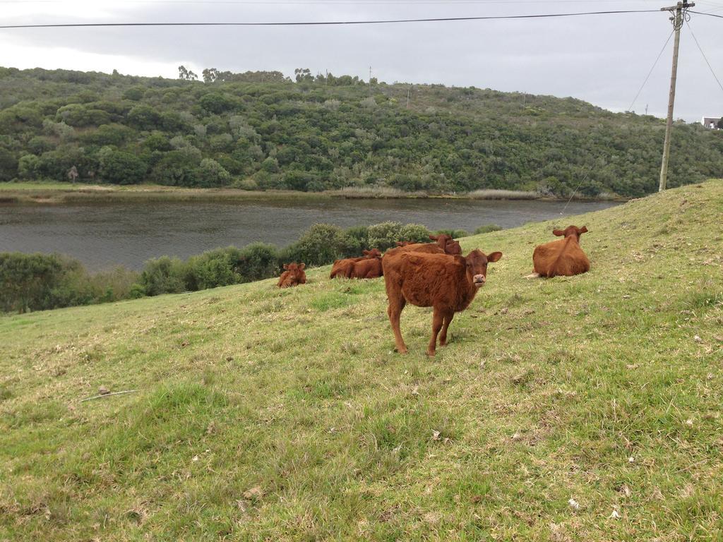 דירות סטיל ביי Waterryk Eco Guest Farm מראה חיצוני תמונה