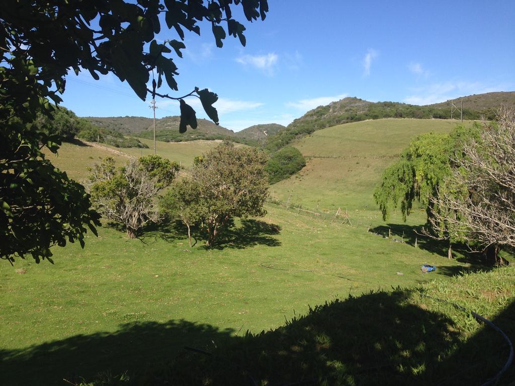 דירות סטיל ביי Waterryk Eco Guest Farm מראה חיצוני תמונה